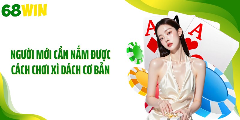 Người mới cần nắm được cách chơi xì dách cơ bản
