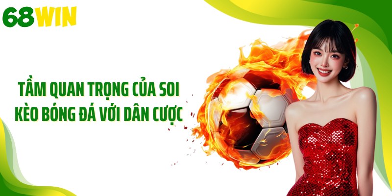 Tầm quan trọng của soi kèo bóng đá với dân cược